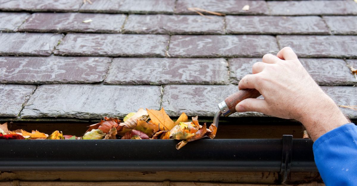tips for gutter cleaning